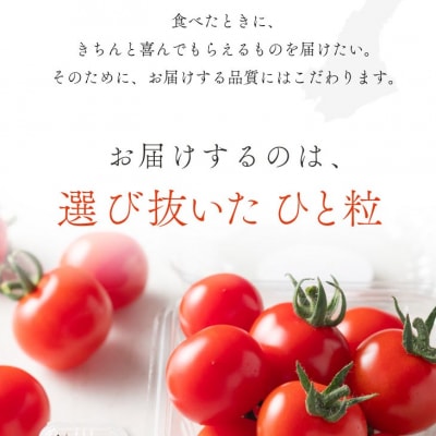 ケンちゃんファームの高糖度ミニトマト「トマトマトマト」900g