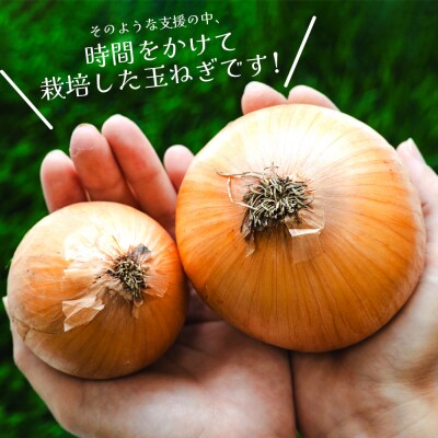 玉ねぎ 5kg 家庭用 先行受付 野菜 高知 大小混合 ke-0036