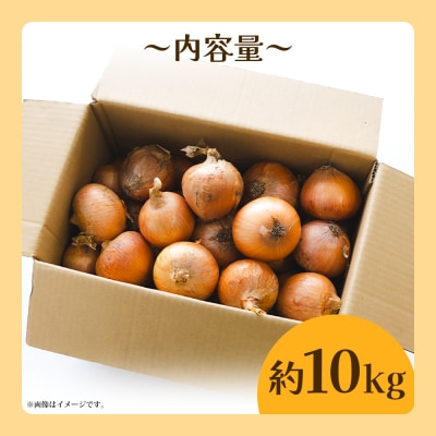 玉ねぎ 10kg 家庭用 先行受付 野菜 高知 大小混合 ke-0038