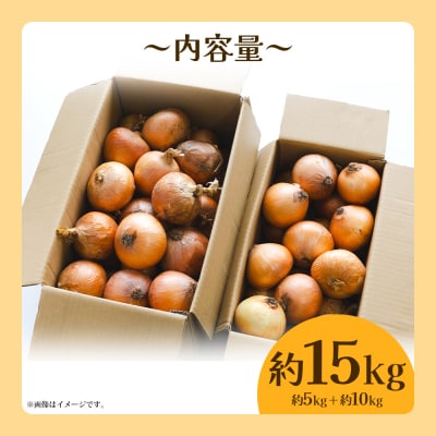 玉ねぎ 15kg 家庭用 先行受付 野菜 高知 大小混合 ke-0039