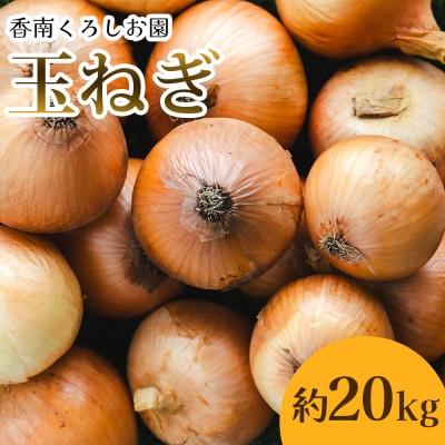 玉ねぎ 20kg 家庭用 先行受付 野菜 高知 大小混合 ke-0040