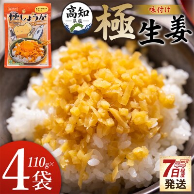 味付け 極しょうが 110g×4袋 計440g おかず ご飯 丼 7日程度で発送 Xnb-0013 