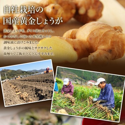味付け 極しょうが 110g×4袋 計440g おかず ご飯 丼 7日程度で発送 Xnb-0013 