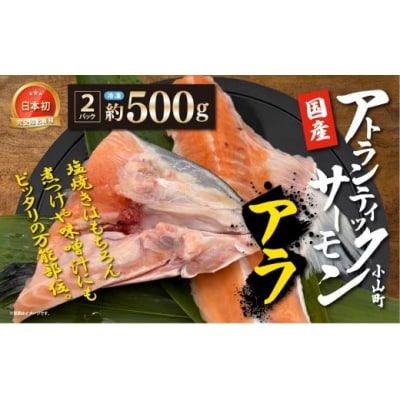 エリア限定 小山町産アトランティックサーモン(アラ×2パック)