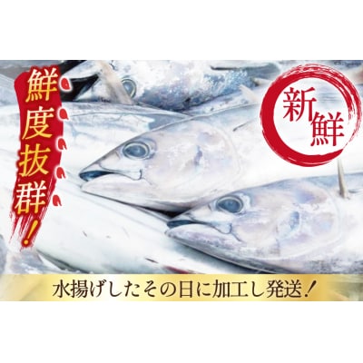 生かつおタタキ 1kg タレ付 真空パック 阿部長商店 宮城県 気仙沼市 20564055