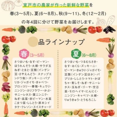 【野菜定期便年4回お届け】　春夏秋冬のお野菜詰め合わせ10品　レシピ付き春夏秋冬の野菜セット