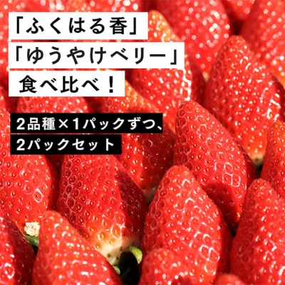 【数量限定】伊賀いちご園のレギュラーパック2P ar002-ab
