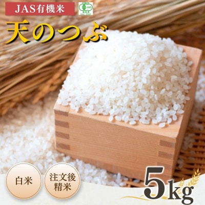 JAS有機米 天のつぶ 白米 5kg 令和7年産 根本有機農園 bd002-ab
