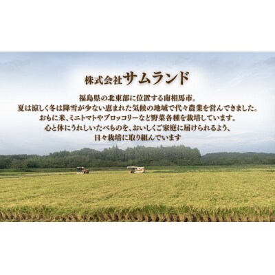 令和7年産 コシヒカリ 精米 白米 10kg (5kg×2袋) サムランド cu001-ab