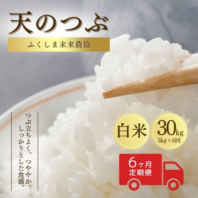白米 30kg (5kg×6回) 天のつぶ | 精米 米5kg ふくしま未来農協 av001-ad