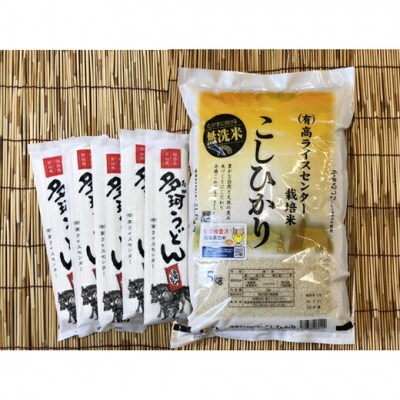 令和7年産 無洗米 コシヒカリ 5kg+多珂うどん(細) 5束 高ライスセンター ae003-ac