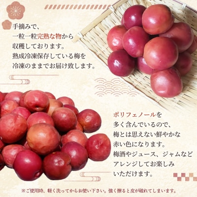 小高の露茜(完熟熟成冷凍梅)   1Kg詰め cm003-aa