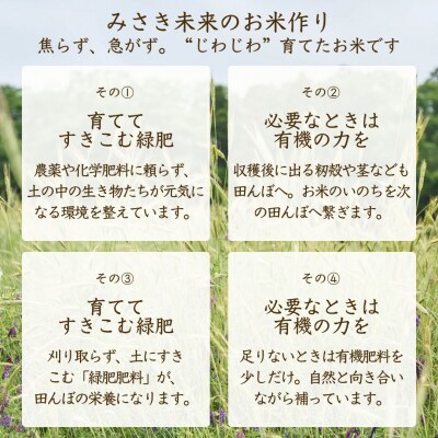 令和8年産 先行予約 にじのきらめき 玄米 10kg JAS有機米 みさき未来 co009-ad