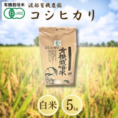 JAS有機米 コシヒカリ 白米 5kg 令和7年産 JAS有機米 渡部有機農園 cn001-aa