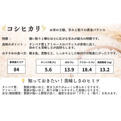 JAS有機米 コシヒカリ 白米 5kg 令和7年産 JAS有機米 渡部有機農園 cn001-aa