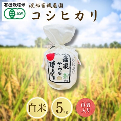 JAS有機米 コシヒカリ 白米 5kg 巾着入 令和7年産 有機米 渡部有機農園 cn001-ae