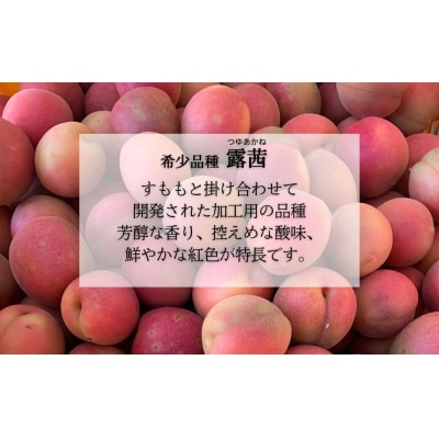 梅農園ジャム 300g (100g×3) 梅ジャム 国産 無添加 露茜 相馬アグリ cm001-aa