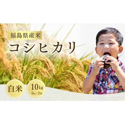 先行予約 令和8年産 コシヒカリ 白米 10kg こしひかり 米 大粒 サムランド cu005-ab