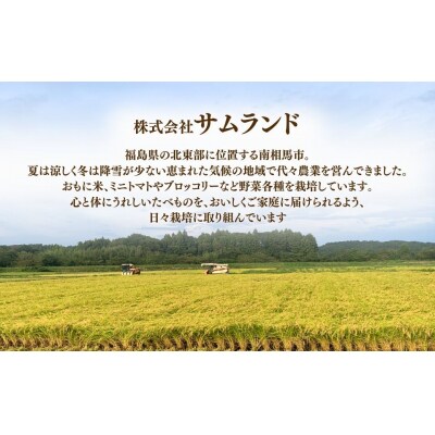 先行予約 令和8年産 コシヒカリ 白米 10kg こしひかり 米 大粒 サムランド cu005-ab