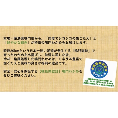 【徳島県認証】鳴門産塩蔵わかめ 110g×12袋　ヤマハチ八幡商店