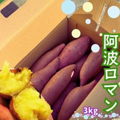 【先行受付中・2026年12月上旬頃より順次発送】鳴門産 さつまいも 『 阿波ロマン 』 3kg 
