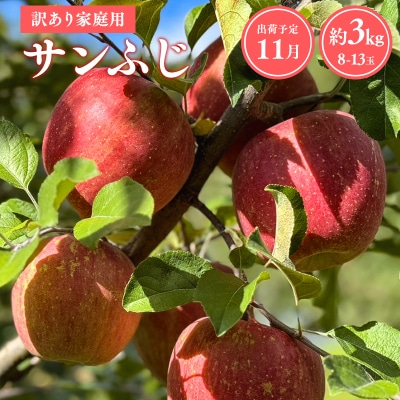 【令和8年産先行受付】11月発送 訳あり 家庭用サンふじ約3kg【青森県平川市産・青森りんご】