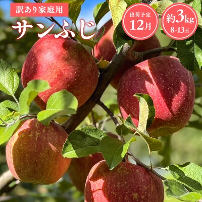 【令和8年産先行受付】12月発送 訳あり 家庭用サンふじ約3kg【青森県平川市産・青森りんご】