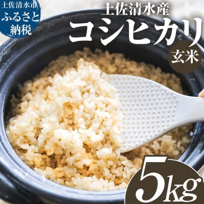 【先行受付】令和8年産 土佐清水産コシヒカリ 新米 玄米 5kg  宗呂米【R01597】