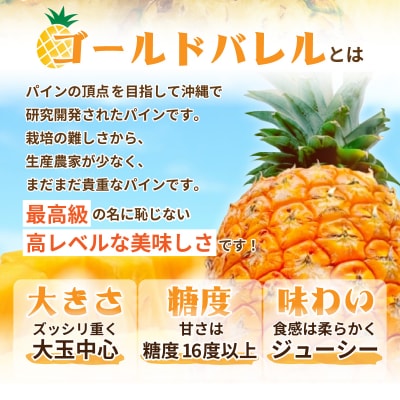 石垣島産 ゴールドバレルパイン 大玉2個入り 約3.4kg