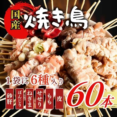 【職人手刺し】国産焼き鳥 6種60本 【バラエティパック】小分けパック(生串・冷凍)