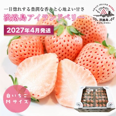 淡路島アイランドベリー　白苺淡雪Mサイズ【2027年4月発送受付・お届け日指定不可】　as14037