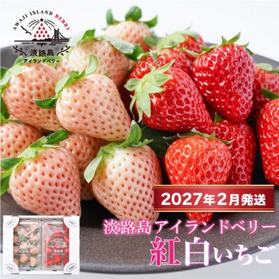 淡路島アイランドベリー　紅白いちご【2027年2月発送受付・お届け日指定不可】　as14038