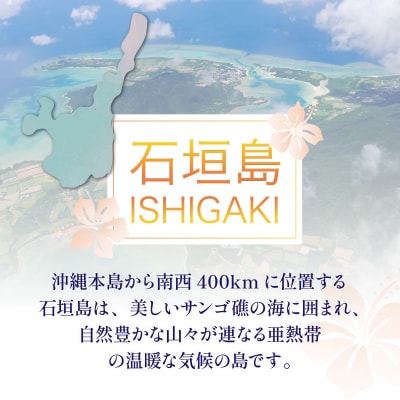 石垣パッケージ旅行補助券(300,000円分) OTI-04