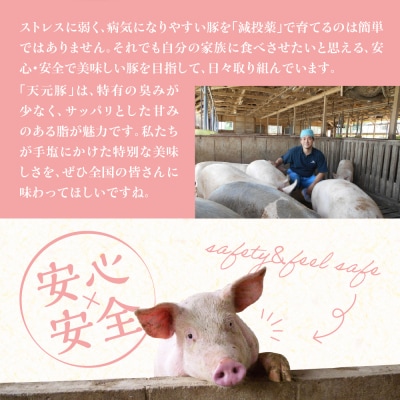 豚肉 天元豚 モモ バラ サイコロカット 500g ( 250g × 2パック )