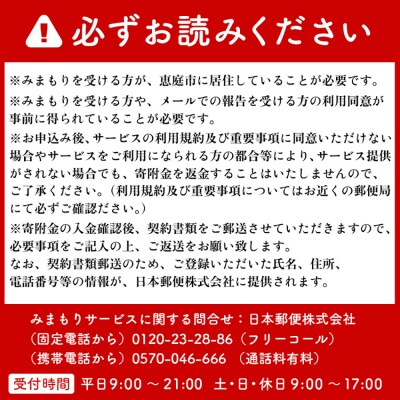 郵便局の「みまもり訪問サービス」(6カ月間)【3700201】