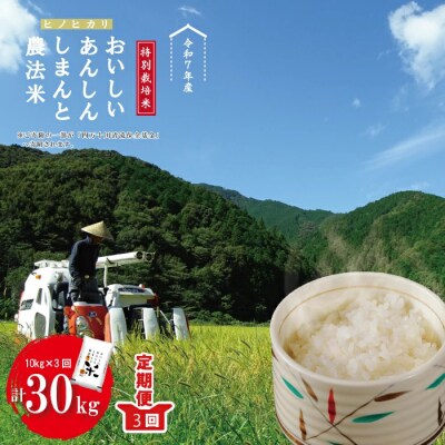 【令和7年産・3回定期便】しまんと農法米(ヒノヒカリ)10kg×3回(計30kg)