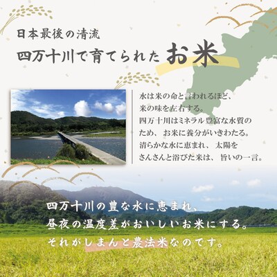 【令和7年産・3回定期便】しまんと農法米(ヒノヒカリ)10kg×3回(計30kg)