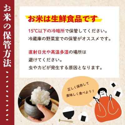 【令和7年産】四万十のこしひかり10kg (5kg×2袋) R8