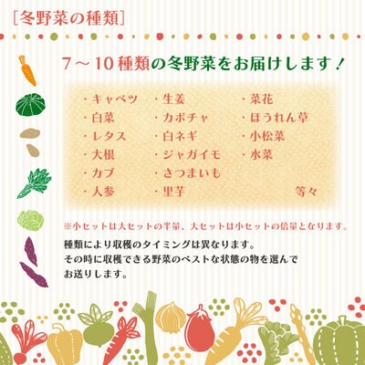 【2回定期便・早期受付・数量限定】アグリユウベの冬野菜セット(大)【配送月:R8年1月・2月】