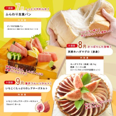 【年末限定12回定期便】四万十の人気グルメお楽しみ しまんとふるさと定期便20万円コースR7-616