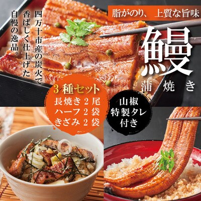 ＜四万十食品＞うなぎ蒲焼　長尾2尾+ハーフ2袋+きざみ2袋/D　26-362