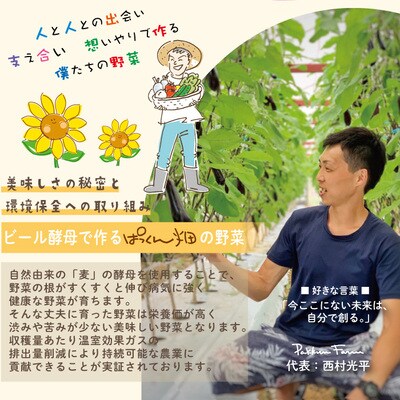 【早期受付 8回定期】農家直送ぱっくん畑野菜(約5種)R6年5～8月、11月～R7年2月に月1回発送