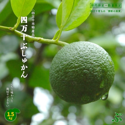 【早期受付・期間限定・数量限定】＜四万十市特産品＞すっきりとした酸味と上品な香り!四万十ぶしゅかん 