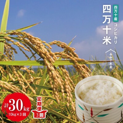【令和7年産・3回定期】四万十産四万十米 コシヒカリ (5kg×2袋)×3回(計30kg )R7