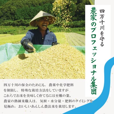 【令和7年産・5回定期便】しまんと農法米(コシヒカリ)5kg×5回(計25kg)R7