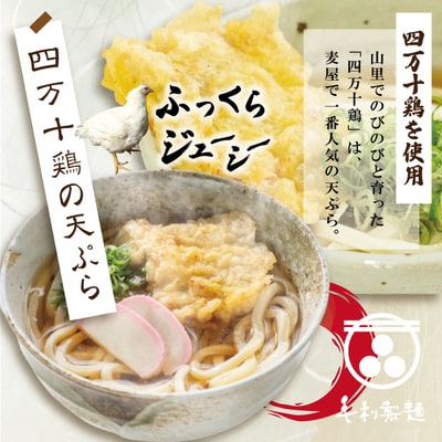 四万十うどんと四万十鶏の天ぷら5食セット 26-798