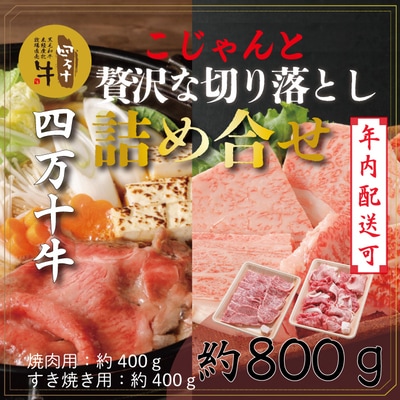 【年内配送】四万十牛こじゃんと贅沢な詰め合せ(焼肉・すき焼き用)計800g・25-020N