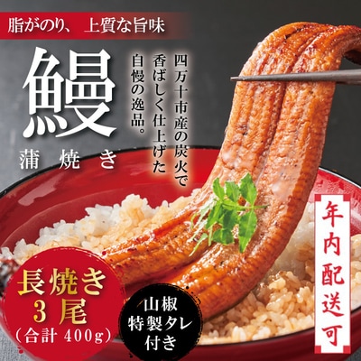【年内配送】＜四万十食品＞うなぎ蒲焼 長焼3尾/CD　25-367N