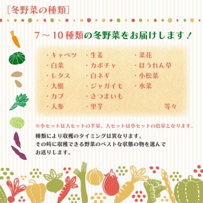 【早期受付・数量限定】農家直送アグリユウベの冬野菜セット(小) R8.11月～R9.2月に1回発送