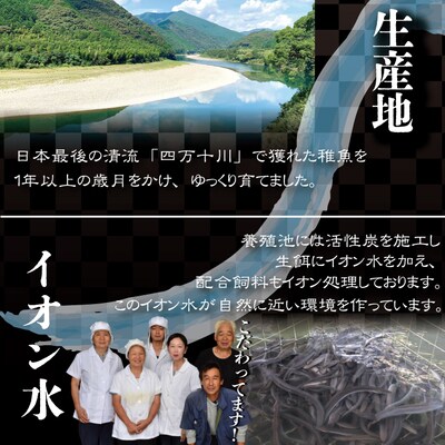 四万十川優化イオンうなぎ蒲焼5尾入り(ボイル肝、たれ付き) 26-012